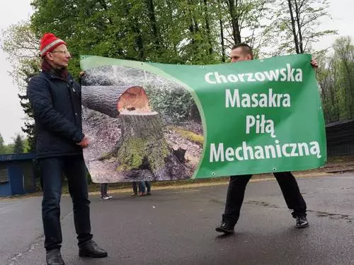 Wielka wycinka drzew przy Parku Śląskim. Mieszkańcy protestują